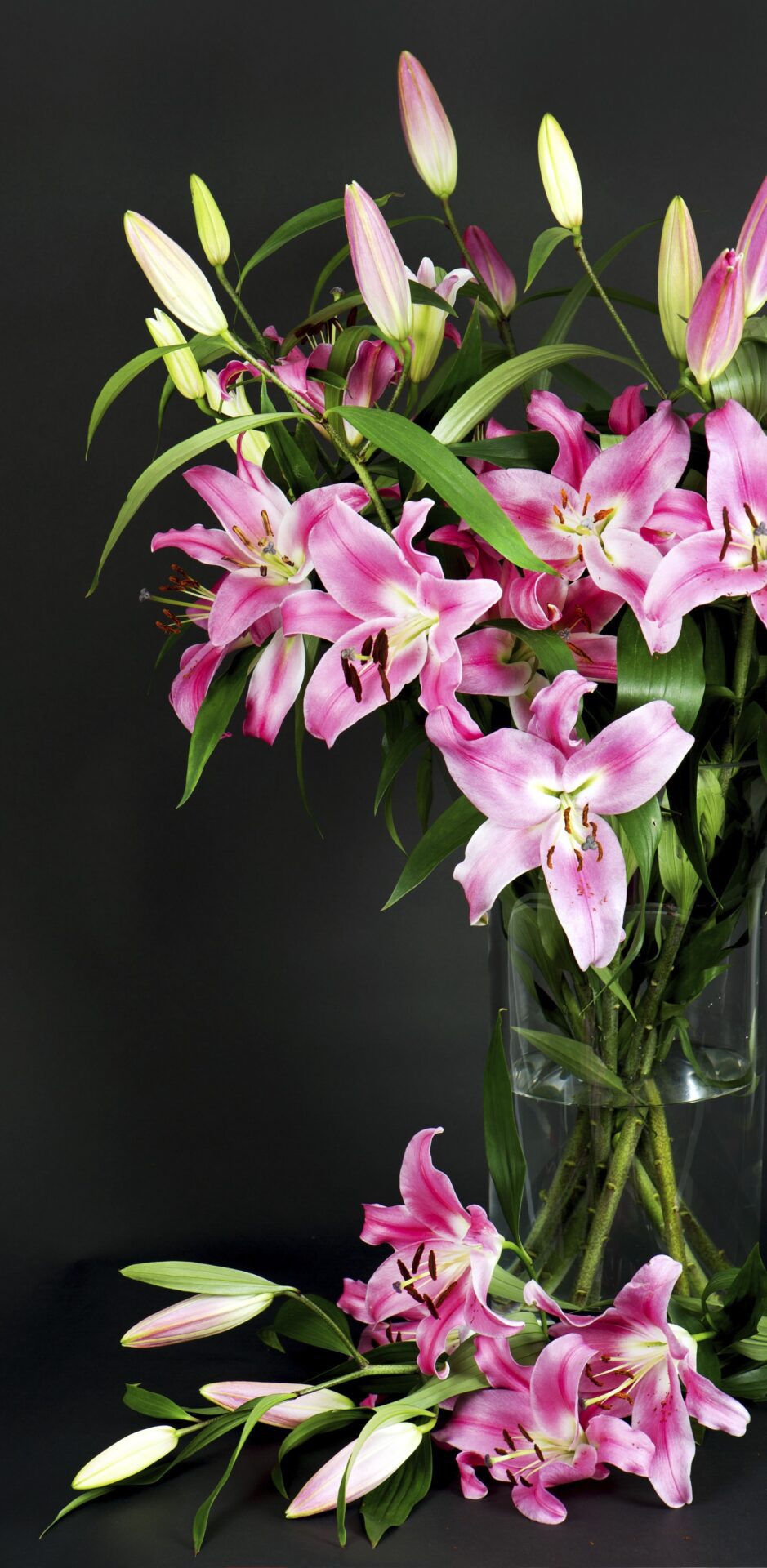 Malá obřadní síň Strašnice Malá obřadní síň Strašnice